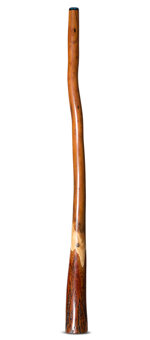 Wix Stix Didgeridoo (WS337)